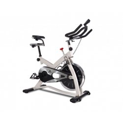 Schwinn ic online pro